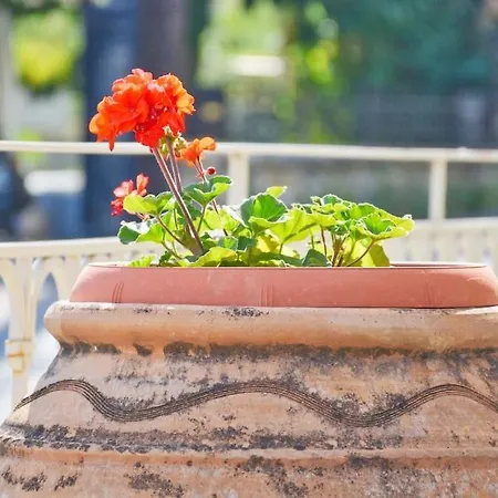 Appartamento The Mansion House Corfu Pyrgi (Corfu)